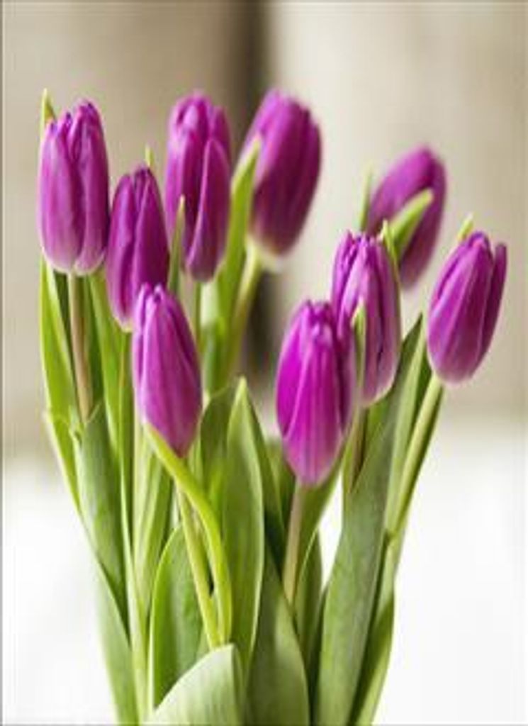 Marilyn Diane Stephenson