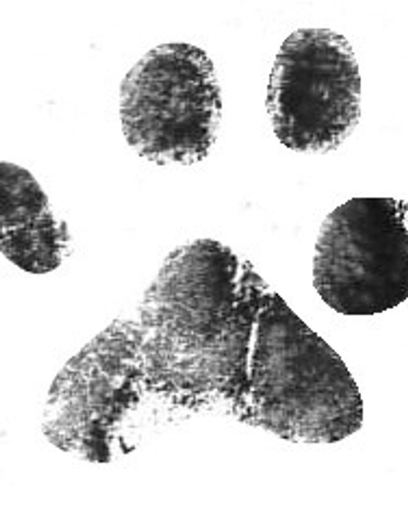 Winnie Goodwin Profile Photo
