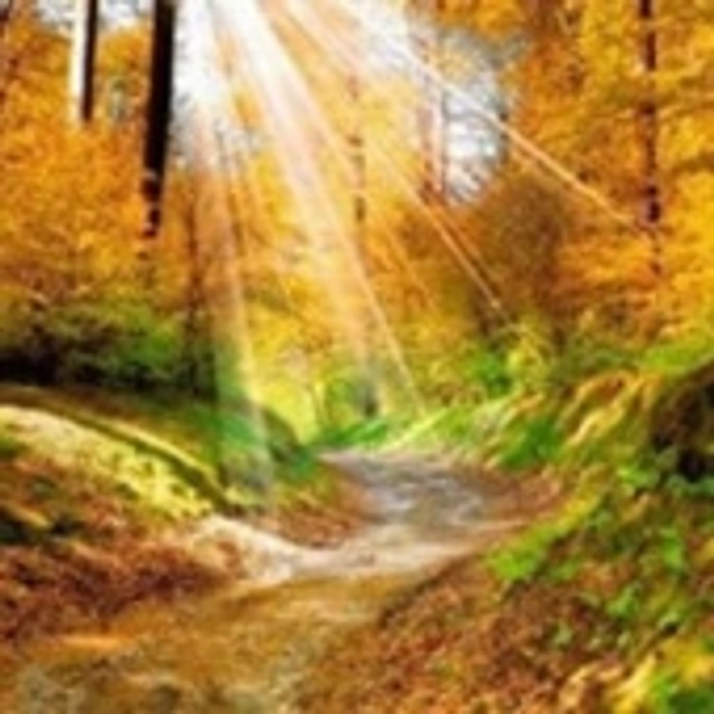 Clynouth R. Ogden Sr.