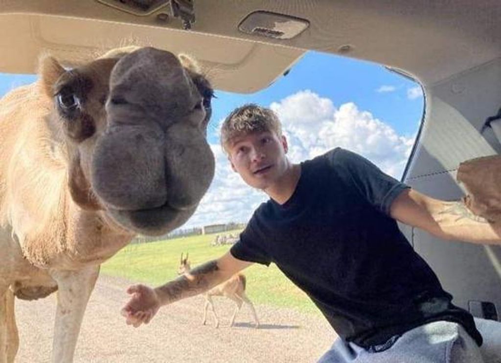 Dakota Shane Thompson Profile Photo