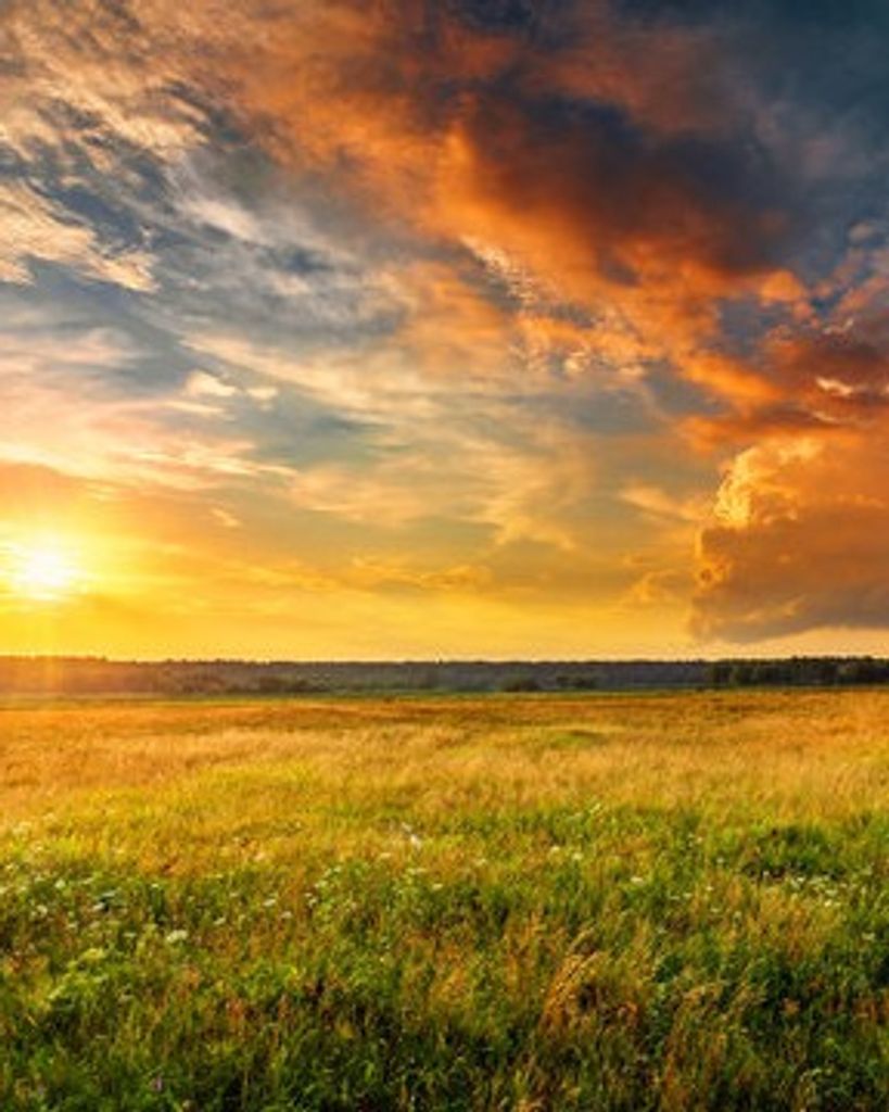 William Eugene Snyder