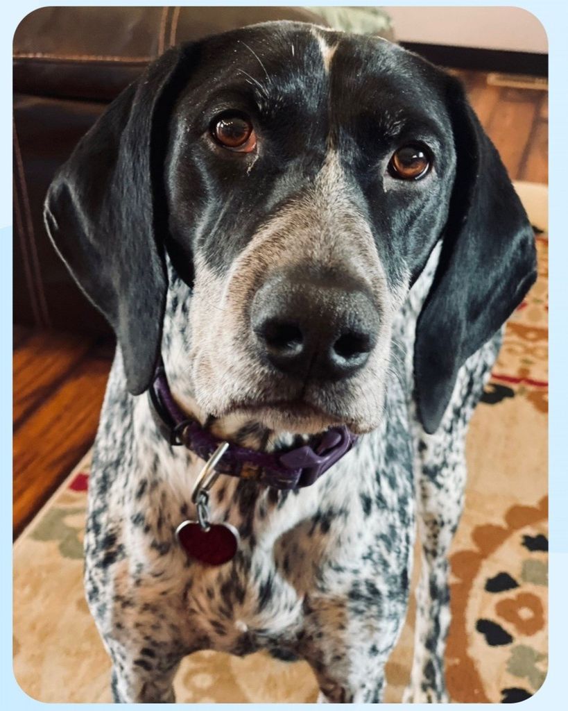 Stella Profile Photo