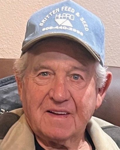 Roy 