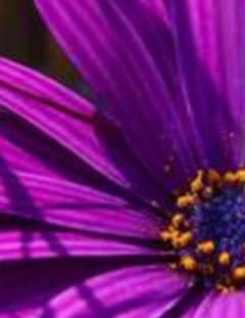 Willie L. Owens Profile Photo