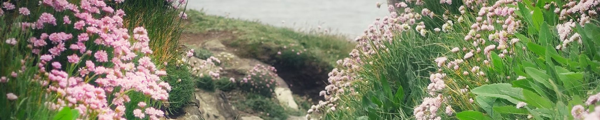 Cover photo for Claudia Celeste Cooper's Obituary