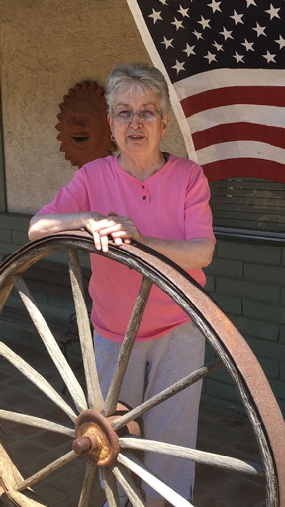Carol Ann Faw Profile Photo