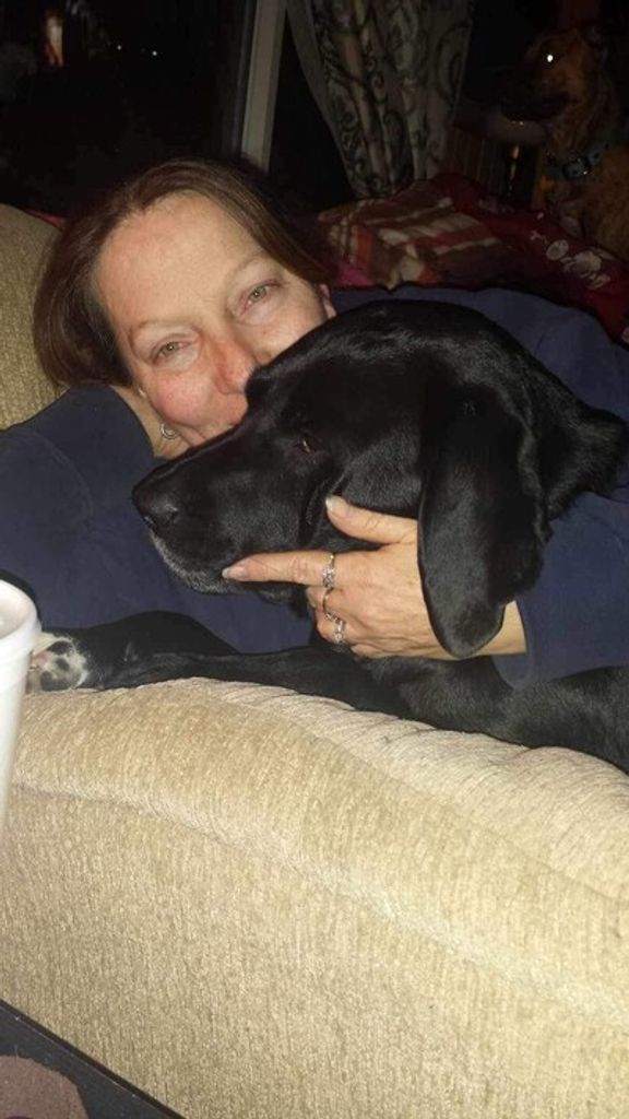 Tracey Jo Ackley-Norris