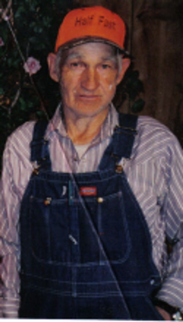 Virgil Lee Robison