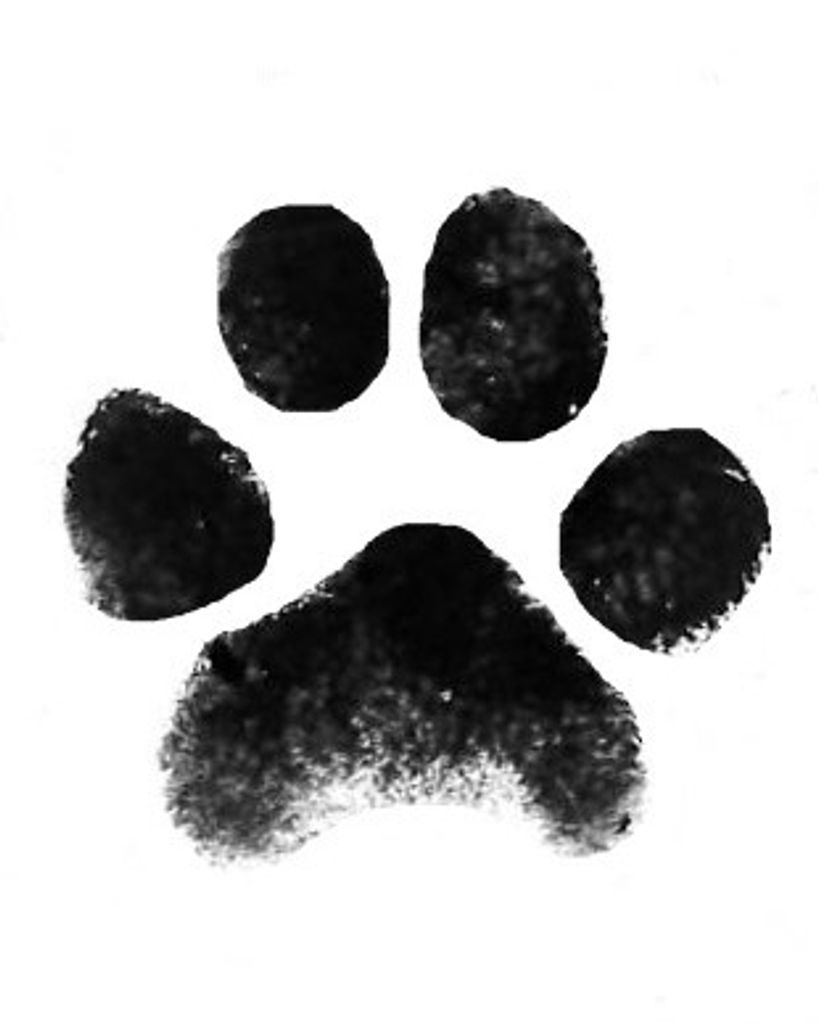 Abbie Epps Profile Photo