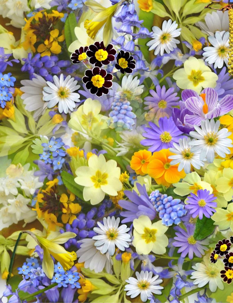 Lori Sims Dees Profile Photo