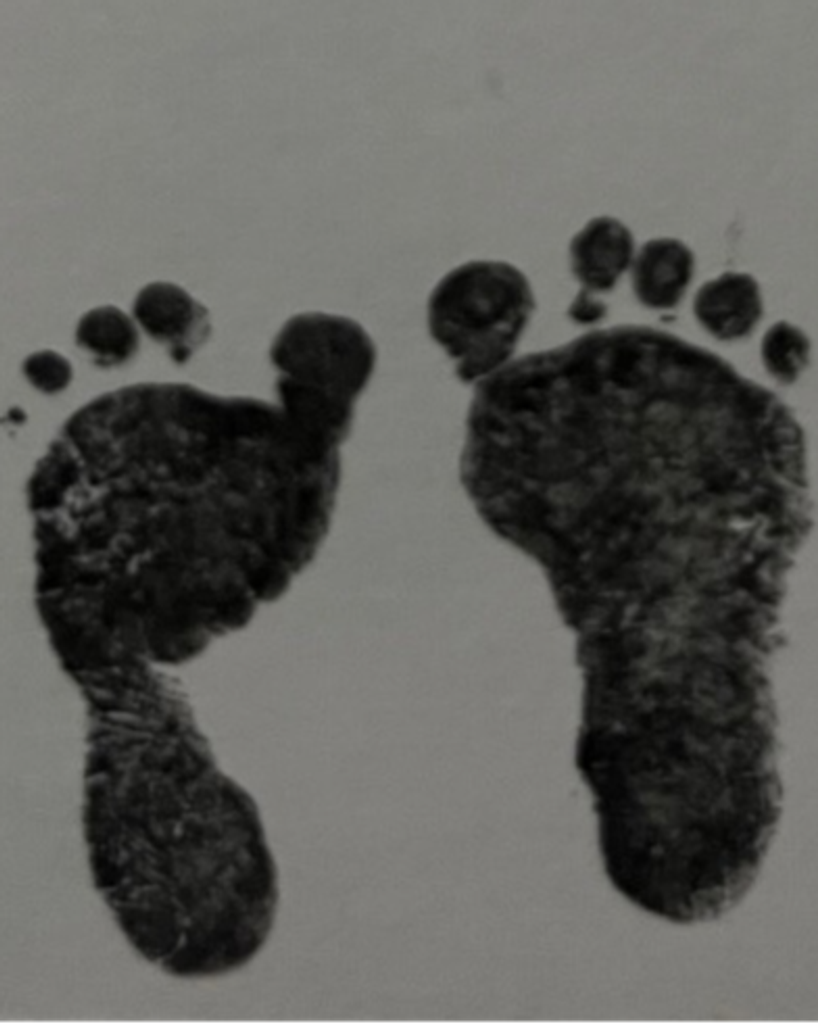 Elvia Navarro Profile Photo