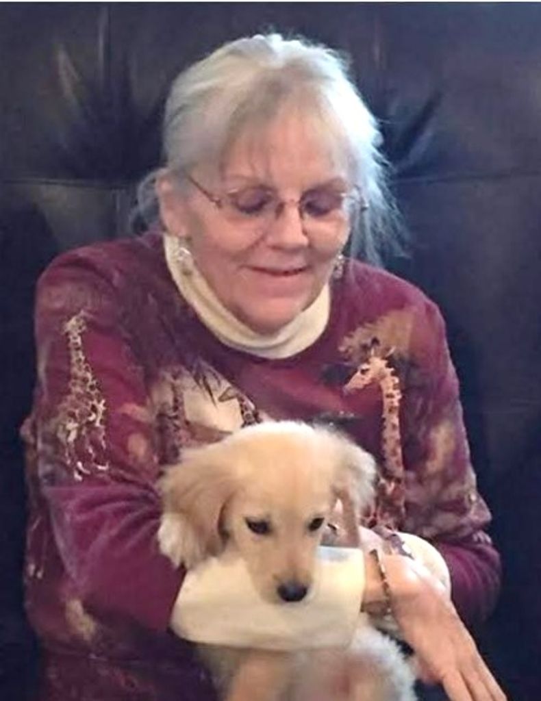Joyce Cox Profile Photo
