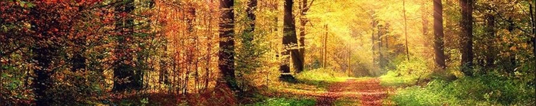 Cover for Keith Alan Woods's Obituary