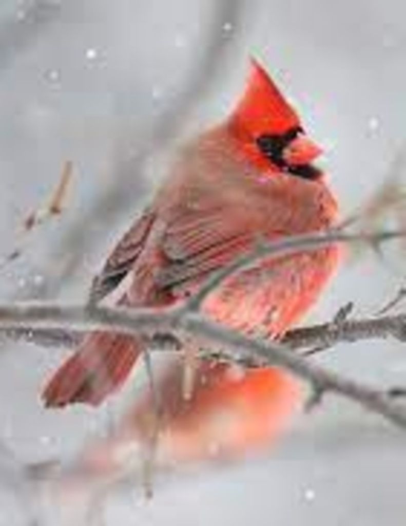 Yvonne "Bonnie" Peters Profile Photo