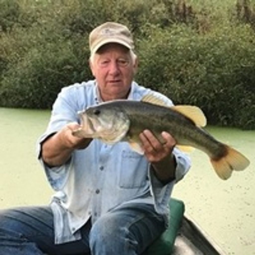 Ronnie Swaim
