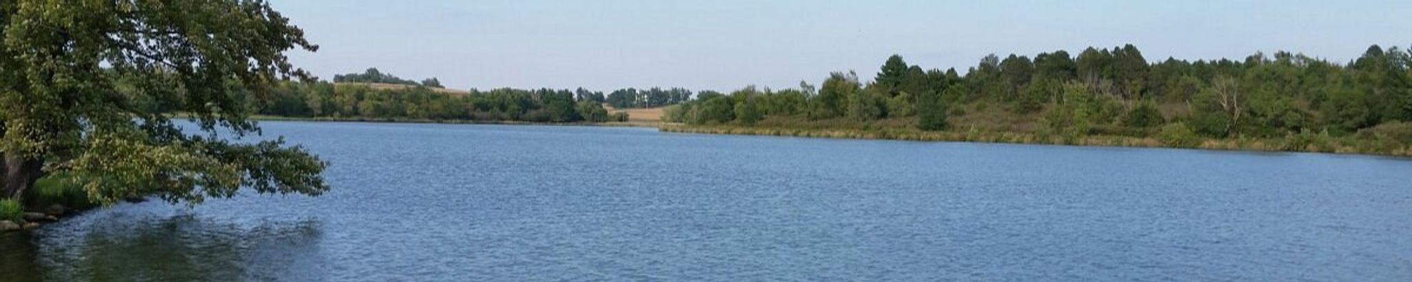 Cover for Kathleen Marie Goans's Obituary