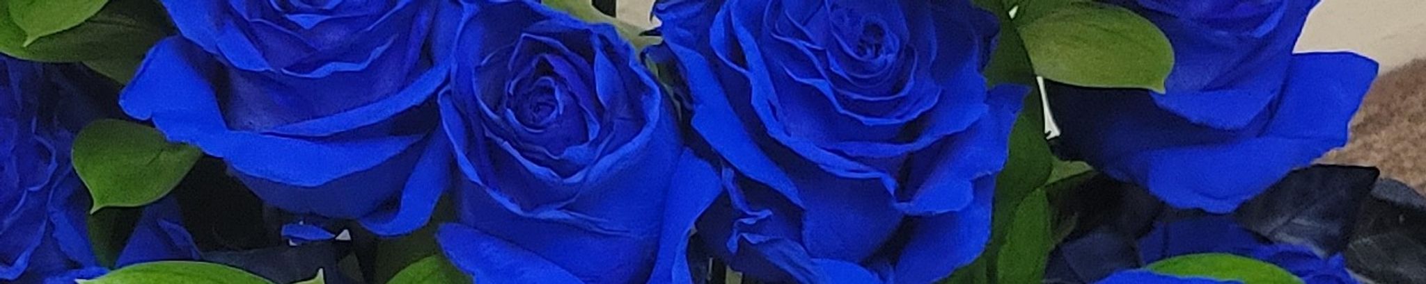 Cover photo for Eutha Mae Masters's Obituary