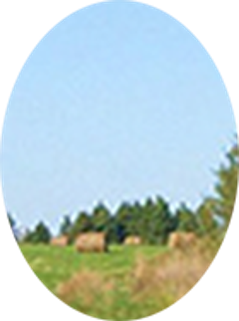 Jay Frandsen Profile Photo