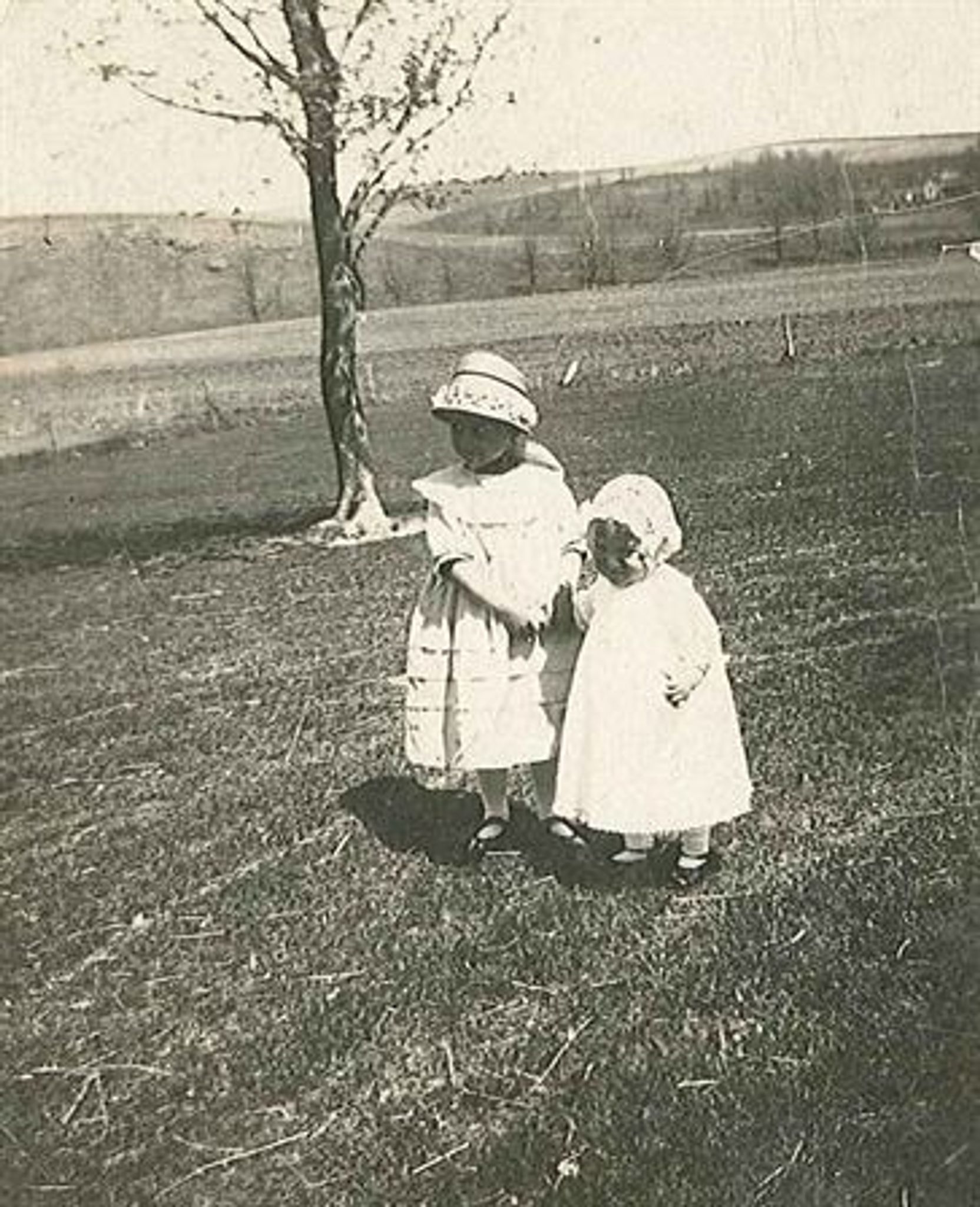 Evelyn  C. Freiheit photo gallery image 88 of 88