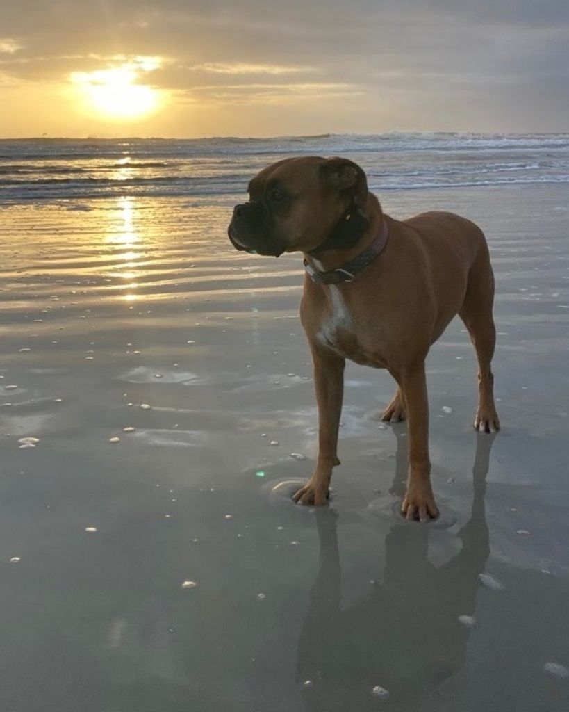 Nellie Blevins Profile Photo