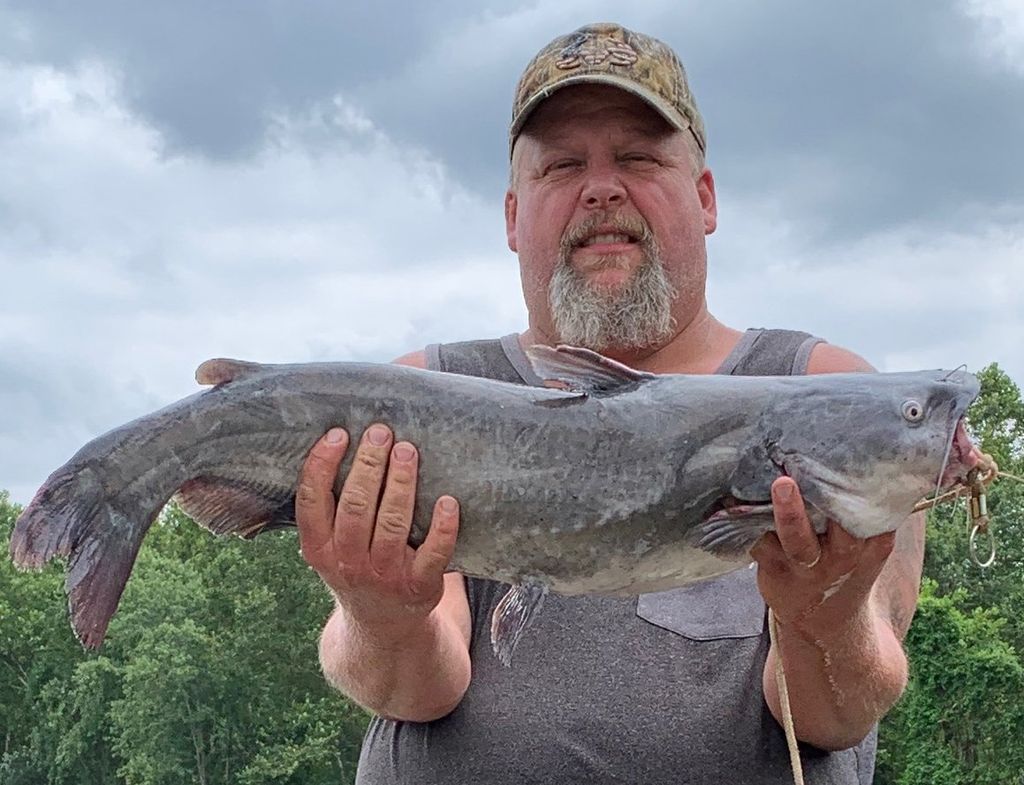 David Gene Banderman Jr. Profile Photo