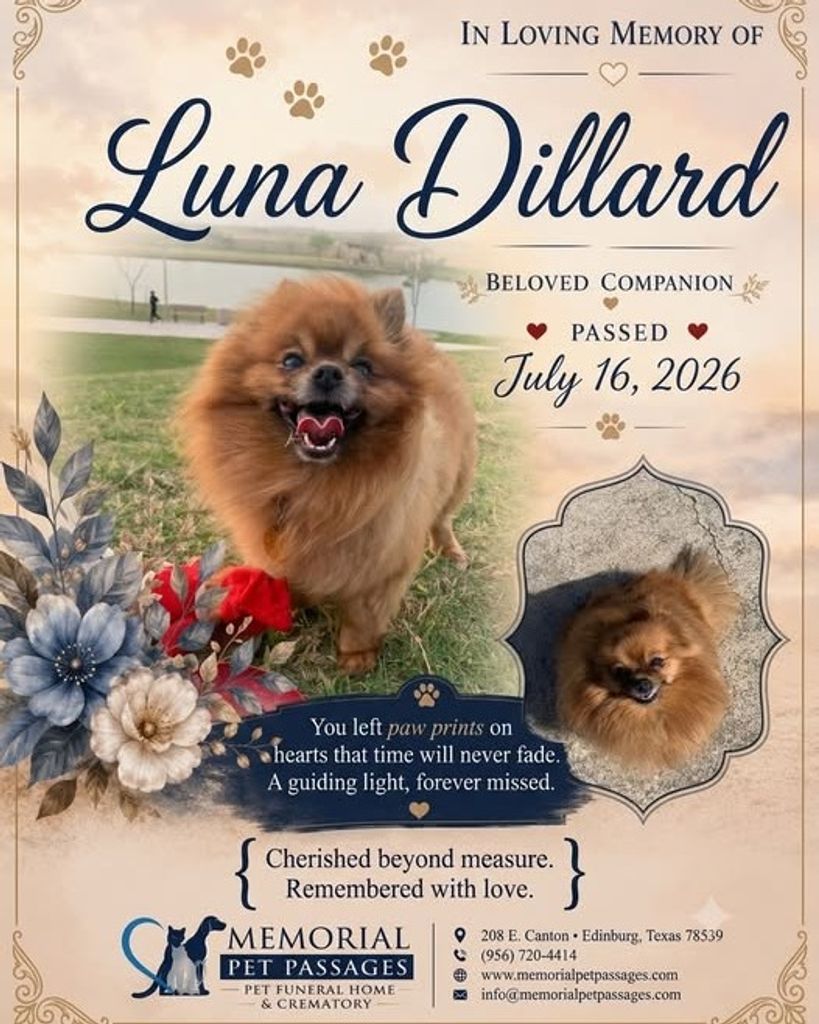 Luna Dillard Profile Photo