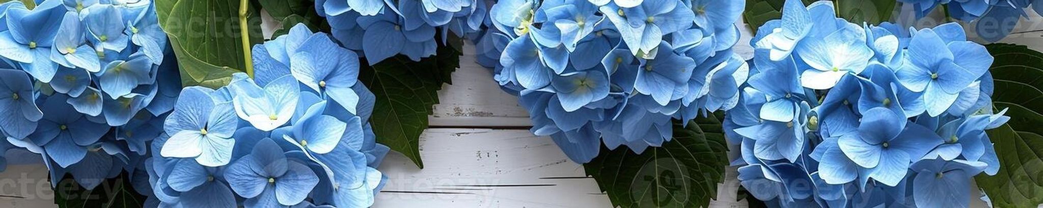 Cover for Zona McDonald Dayton's Obituary