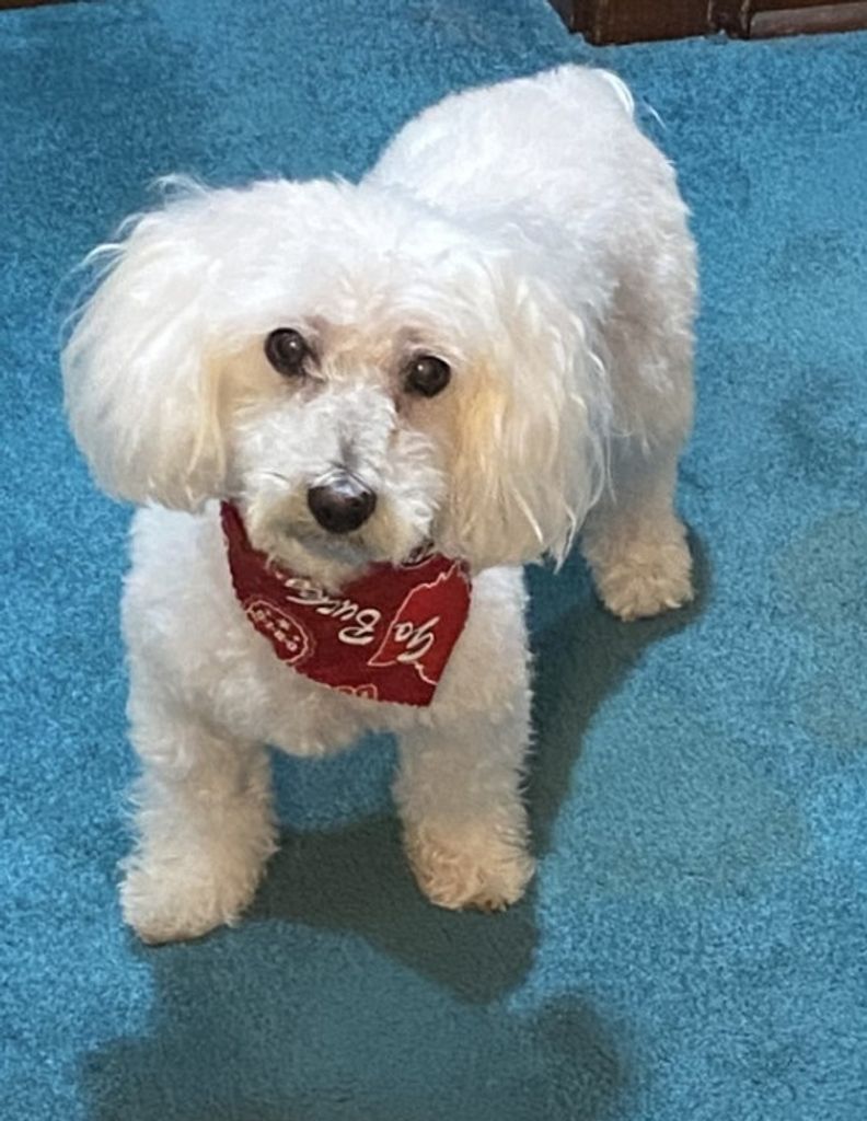 Sasha Crockett Profile Photo