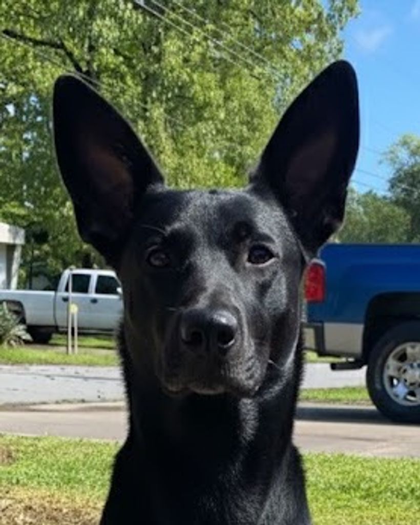 Duke Doolin Profile Photo