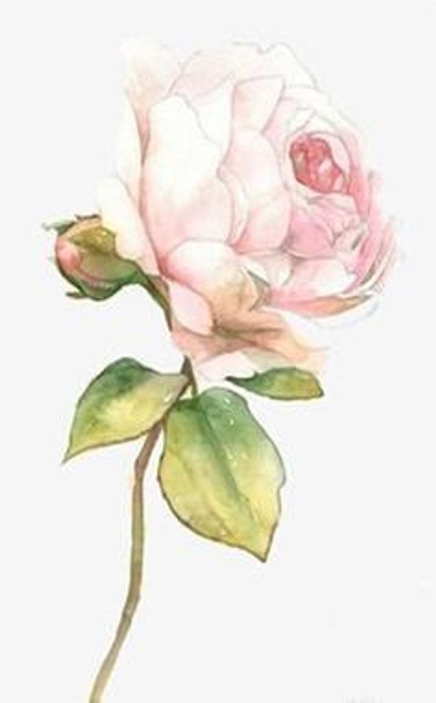 Laverne Smith Weschke Profile Photo