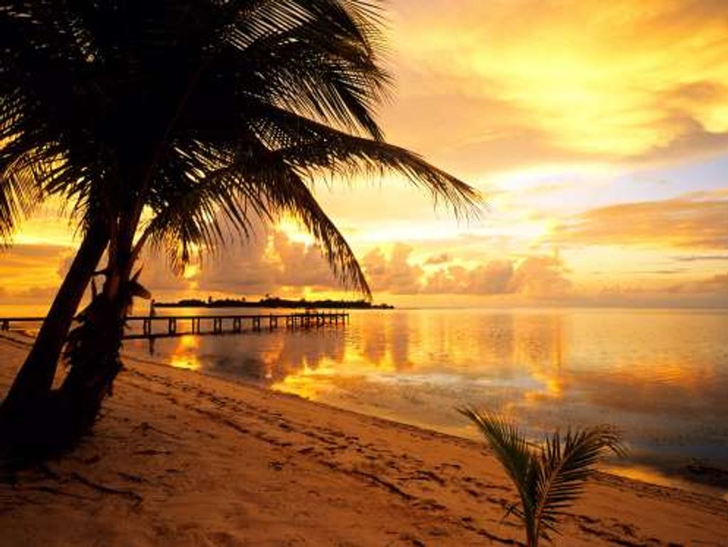 Brett Saari Profile Photo