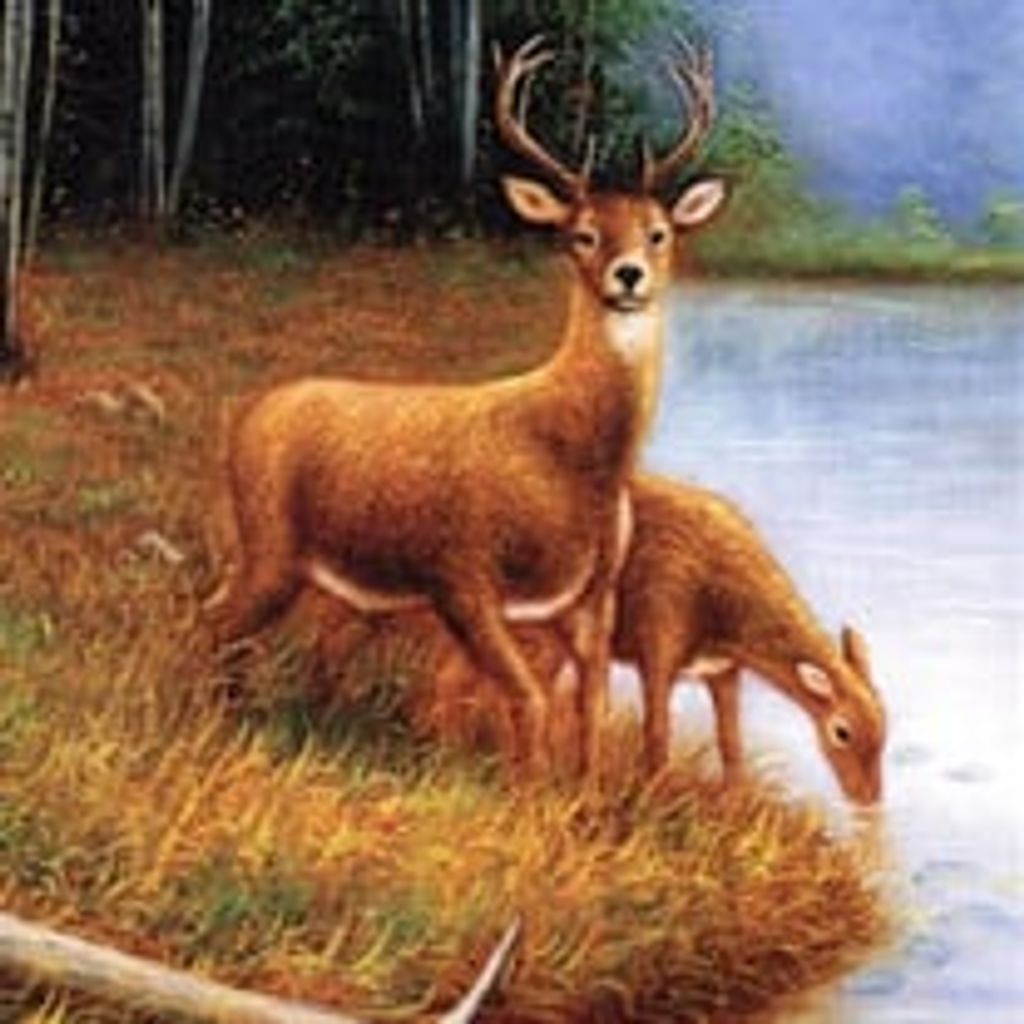 Lewis Wetzel "Buddy" Vannatter