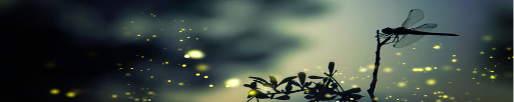 Cover photo for Ramona C. Dias's Obituary