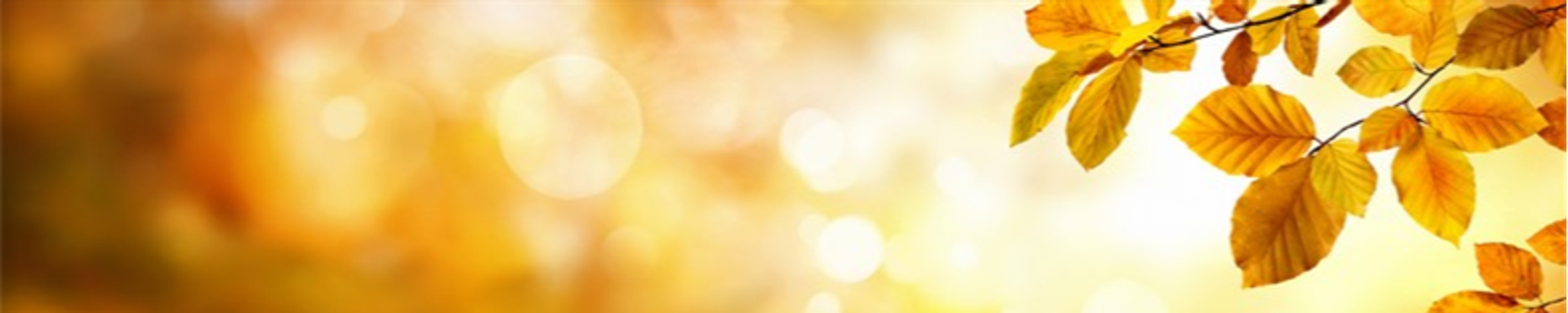 Cover photo for Betty Jo Cogar Eubanks's Obituary