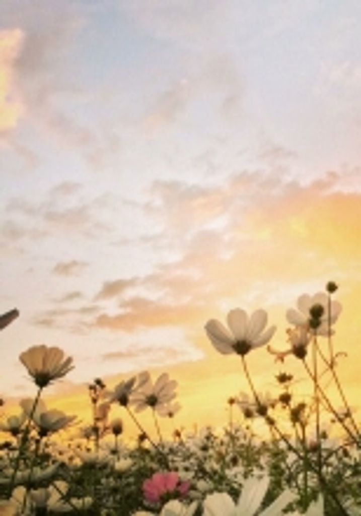 Therese Marie Christensen Profile Photo