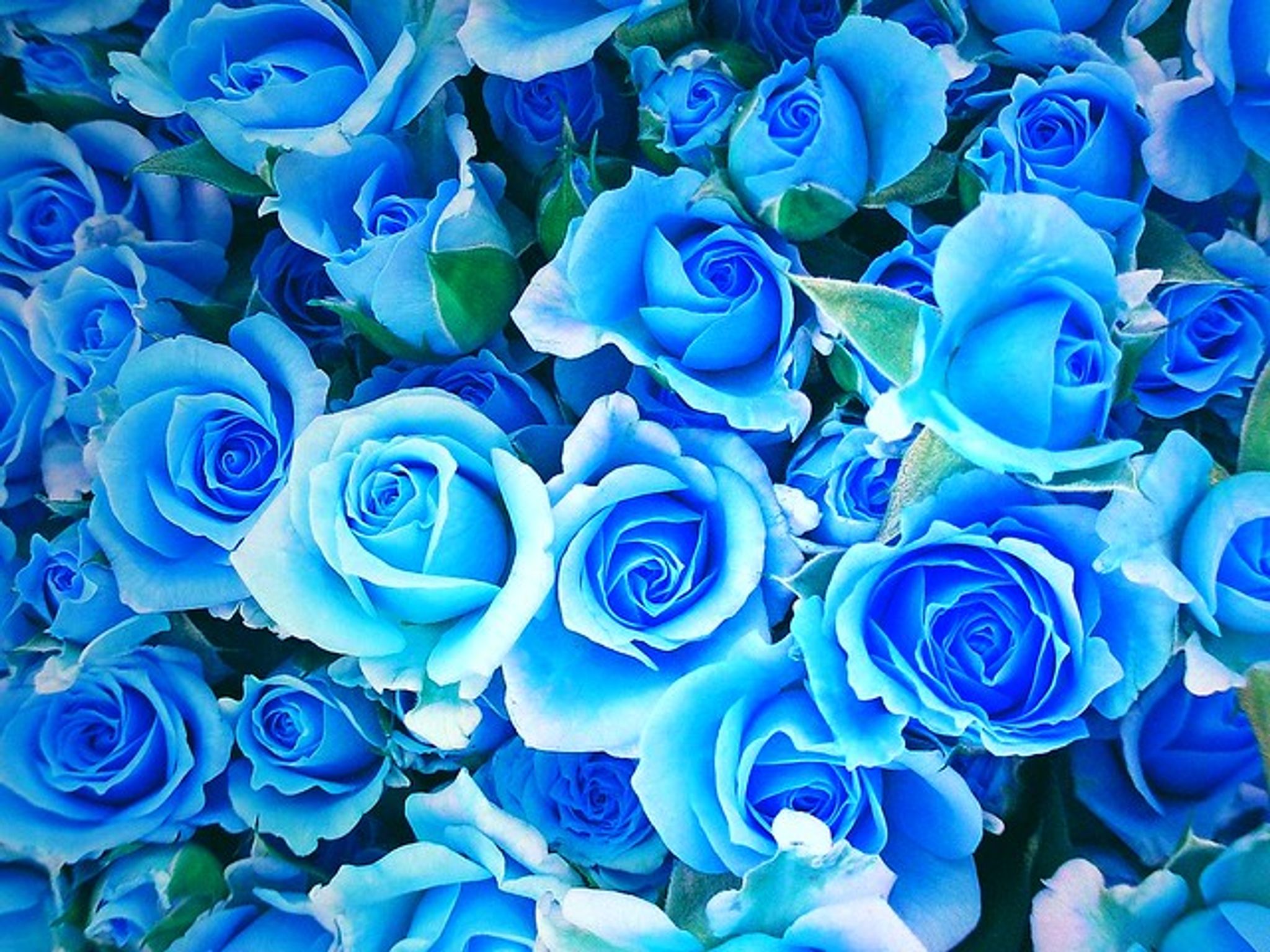 Cover photo for Janet H. Peete's Obituary