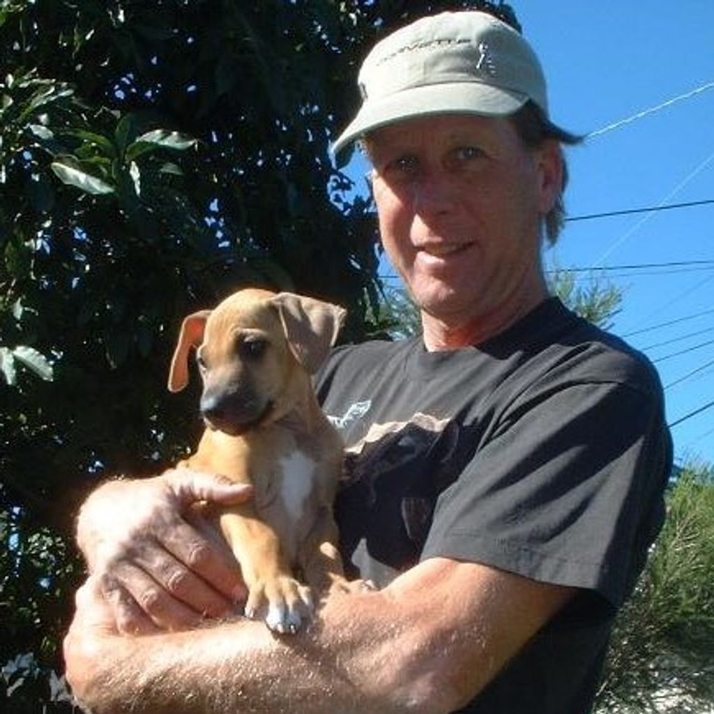 Kim English