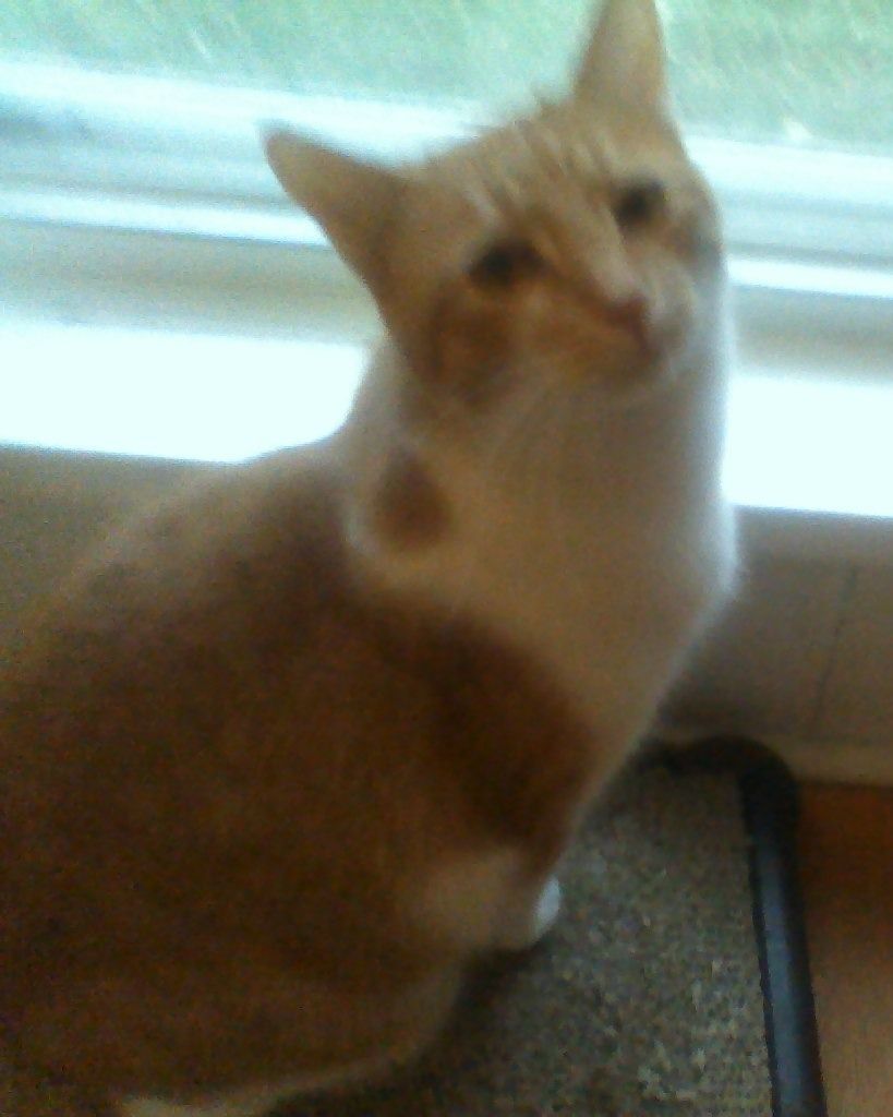 Franklin "Cheesers" Oliver Melroy Profile Photo