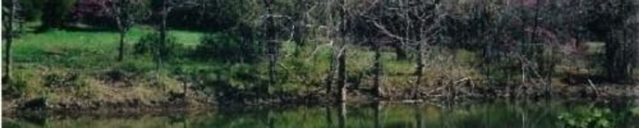 Cover photo for John David Franks's Obituary
