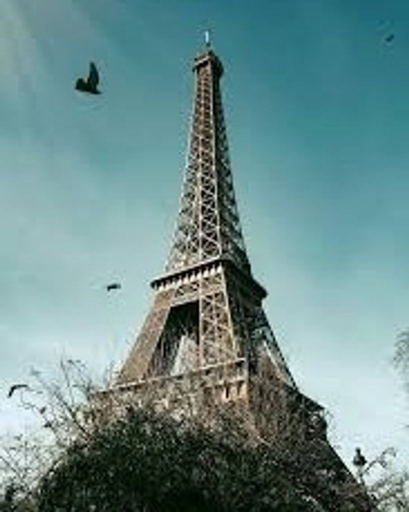 Kelly Panczak Profile Photo