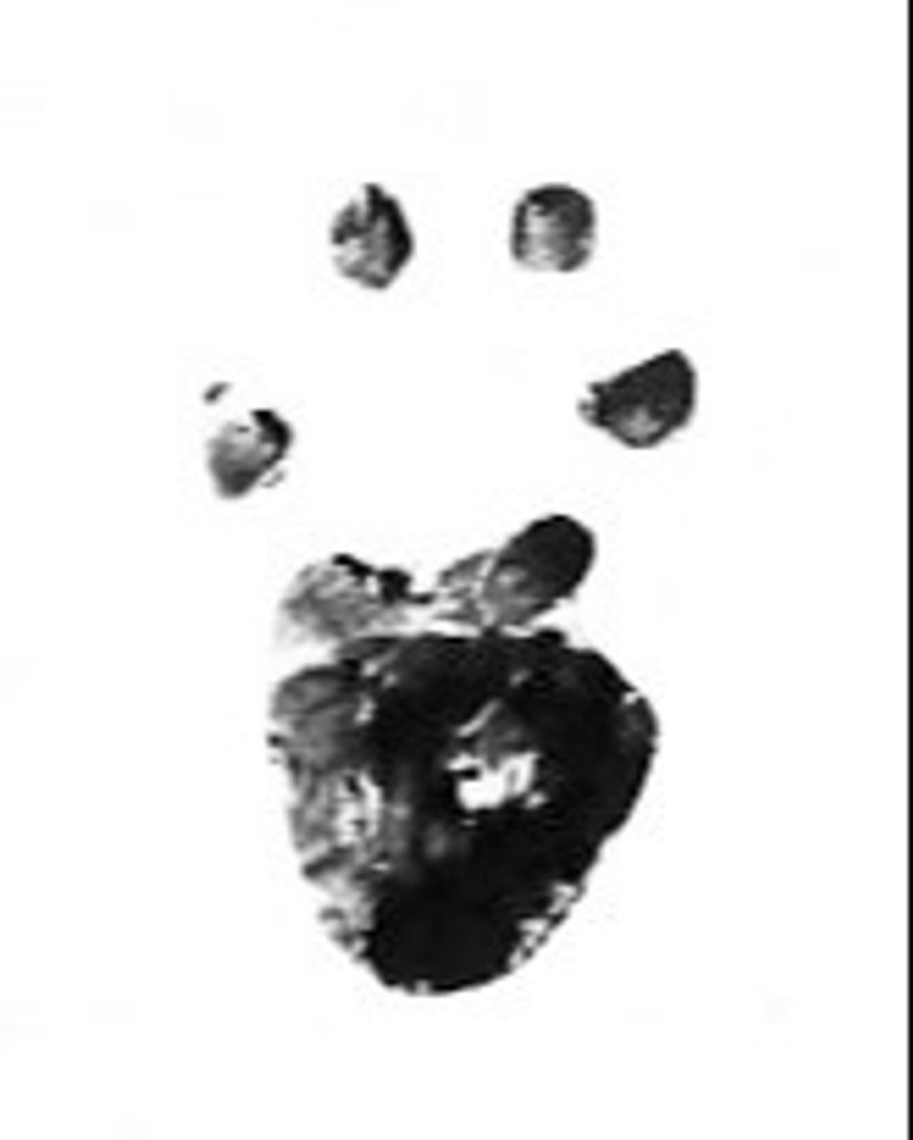 Little Man Myers Profile Photo