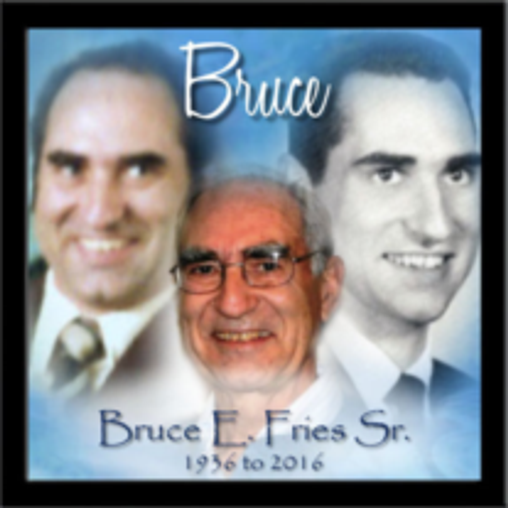 Bruce E. Fries