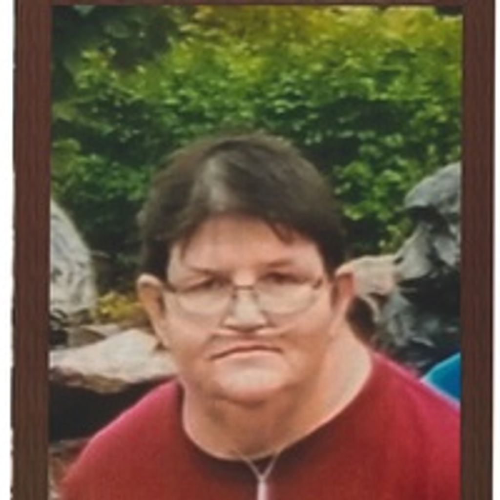 Debra Sue Phipps Profile Photo