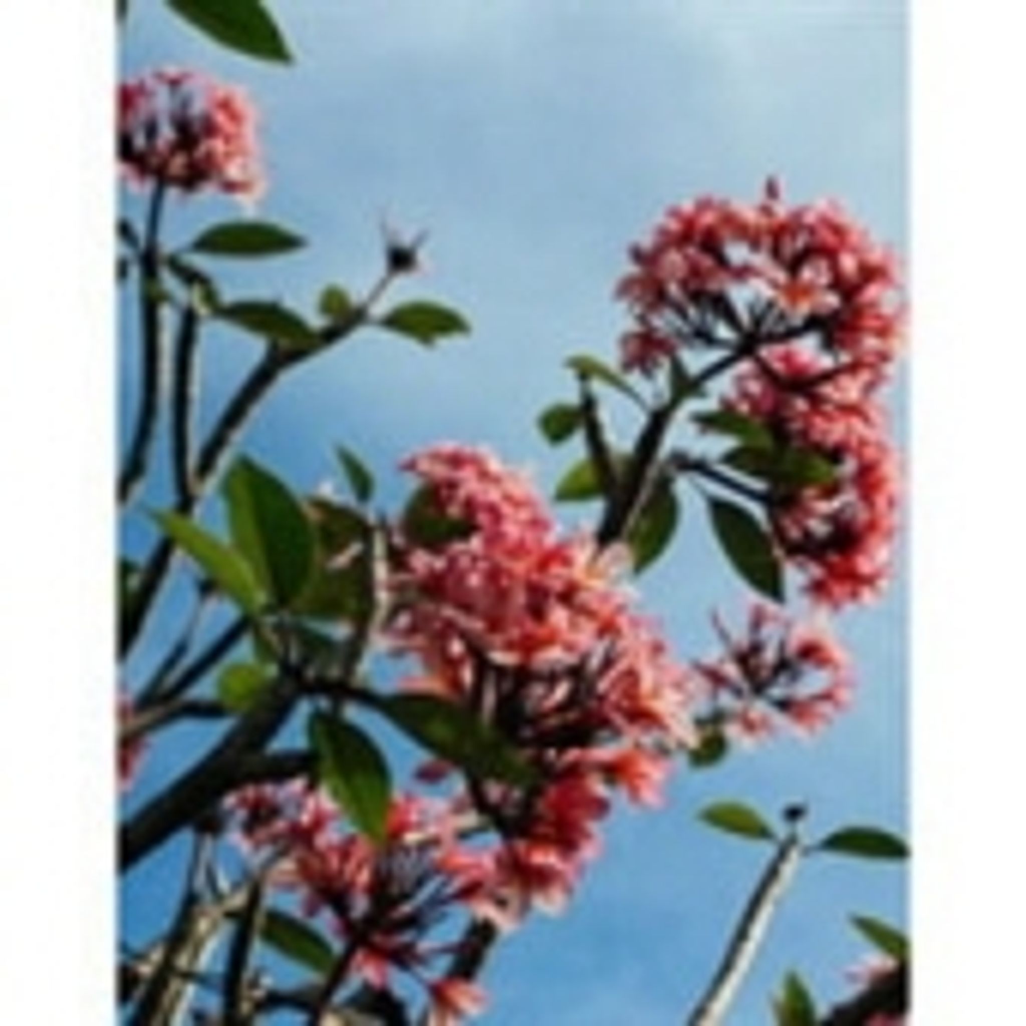 Doris M. Coomber photo gallery image 1 of 1