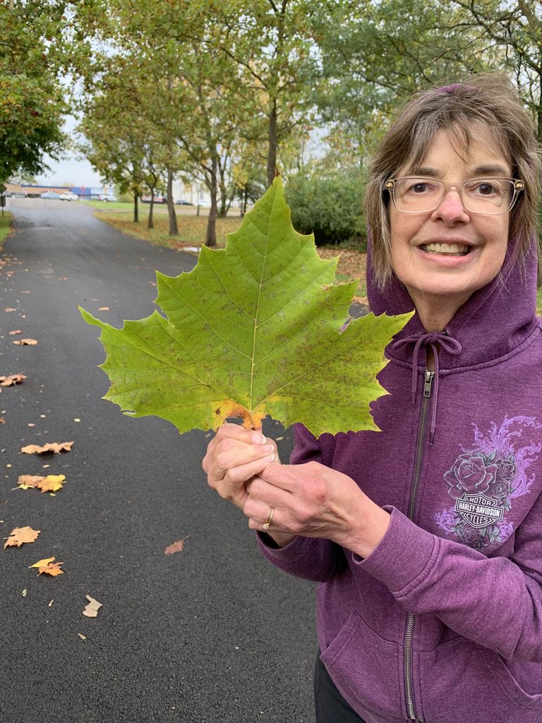 Diana Jean Margida Profile Photo