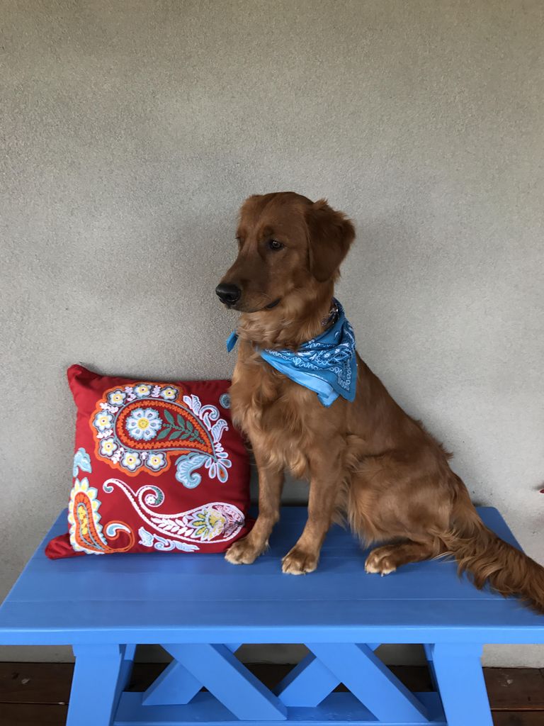 Piper Profile Photo