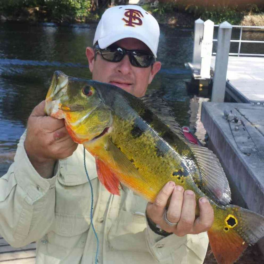 Shawn C. Dever Profile Photo