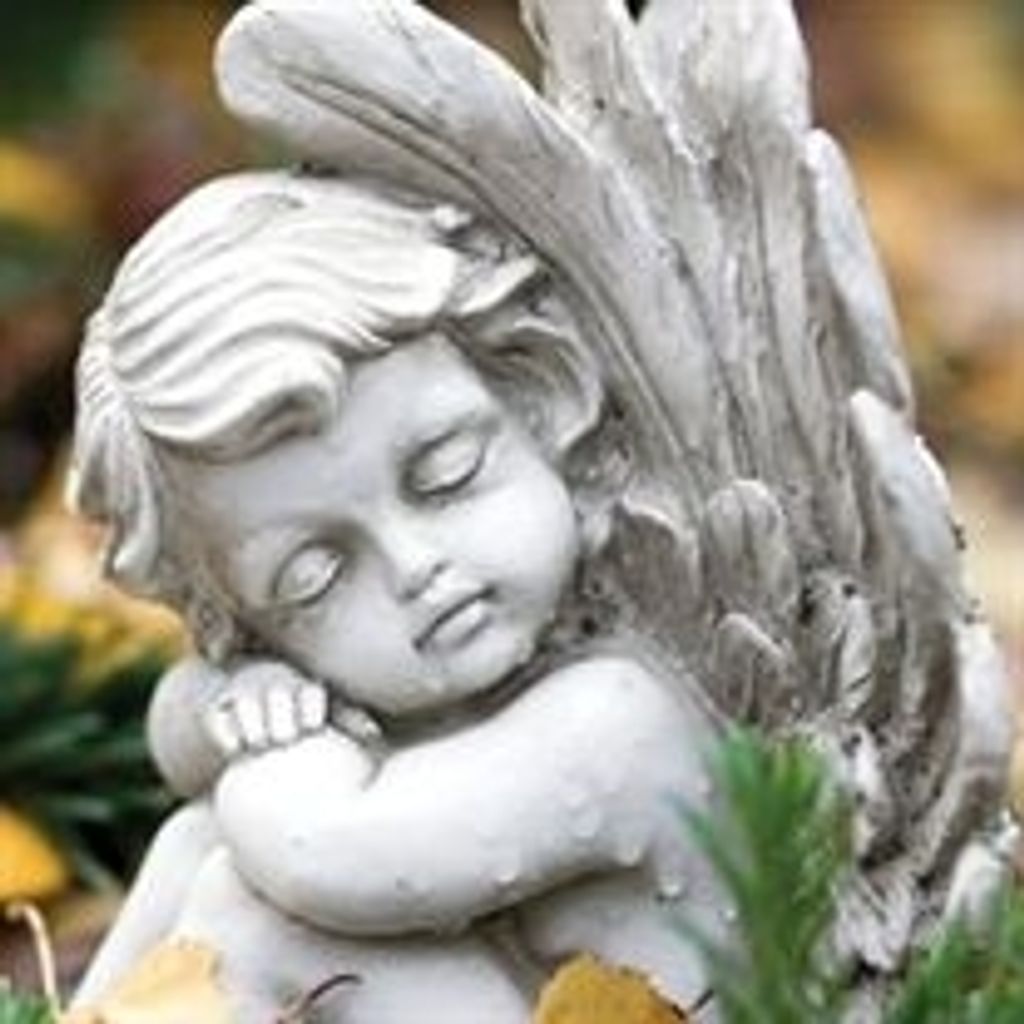 Alice M. Nassif Profile Photo