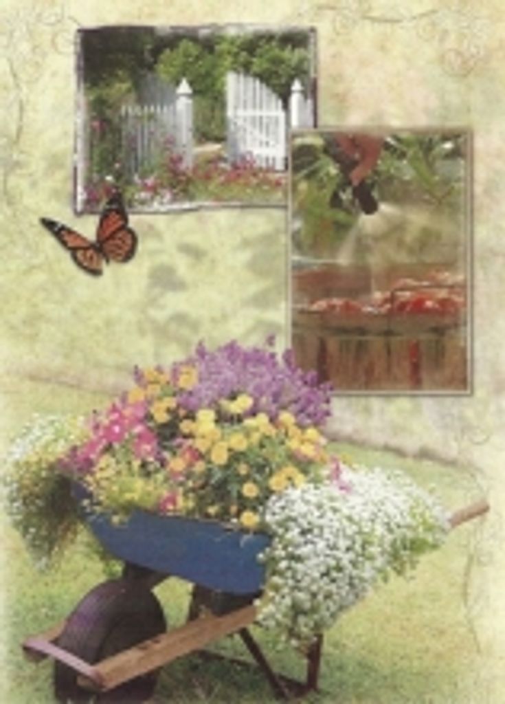 Kathy Brown