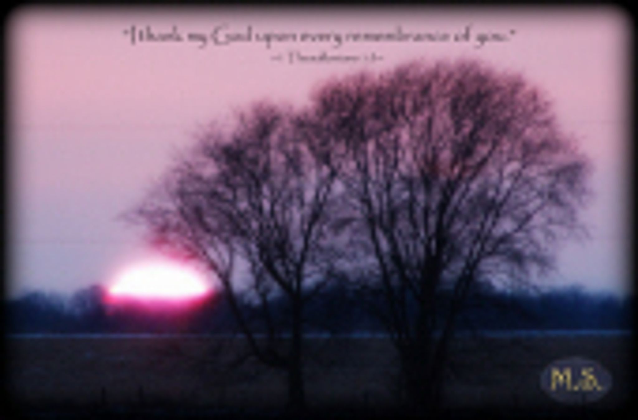 Diane S. Heeren photo gallery image 1 of 3